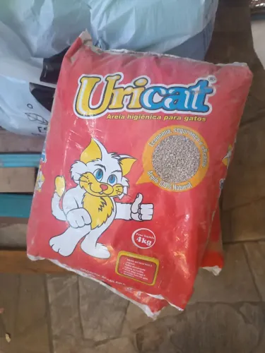 Areia para Gato