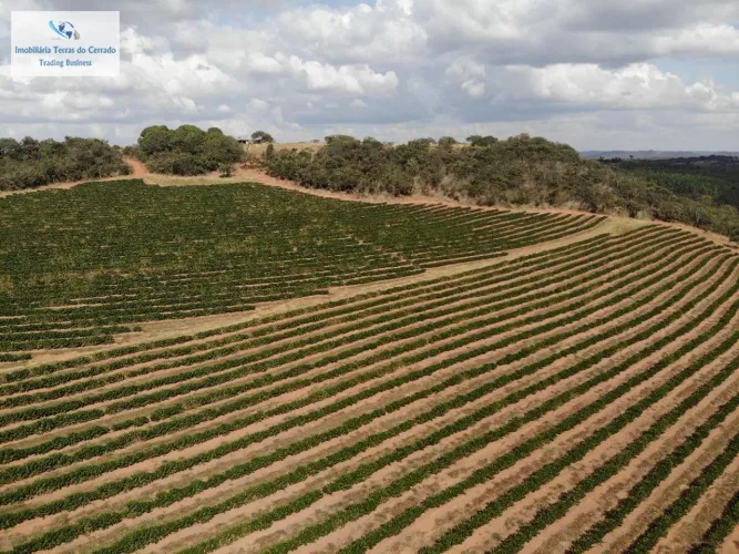 FAZENDA COM 1.670 HECTARES EM PRESIDENTE OLEGÁRIO DUPLA APTIDÃO e RENDA IMEDIA