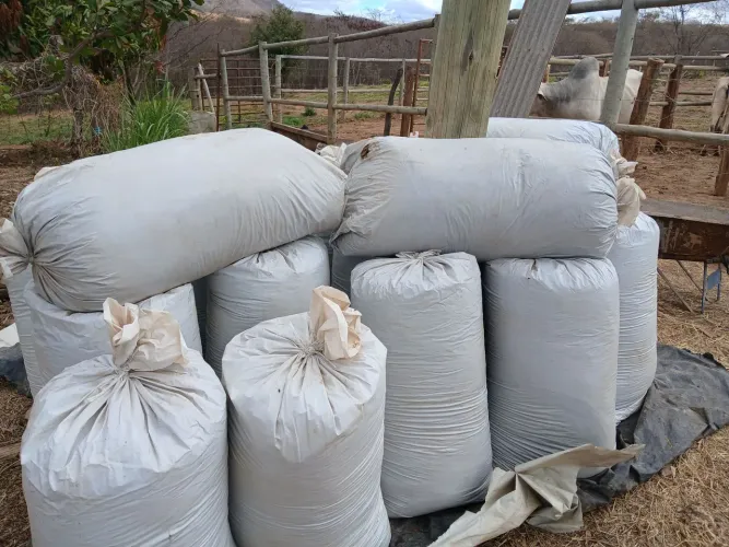 Vendo esterco bovino