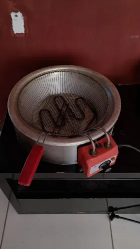 FRITADEIRA ELÉTRICA PRÓ GÁS