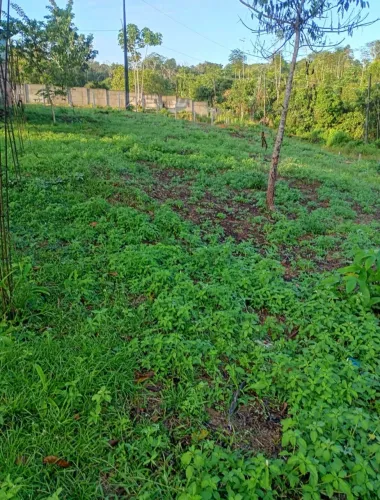 Vendo chácara 20x40 800 metros quadrado 