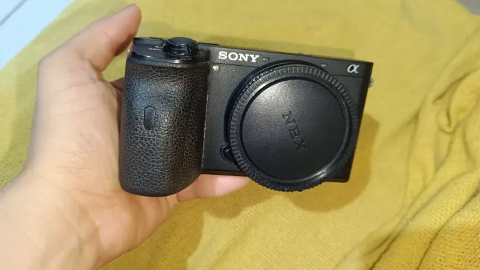 Sony A6600