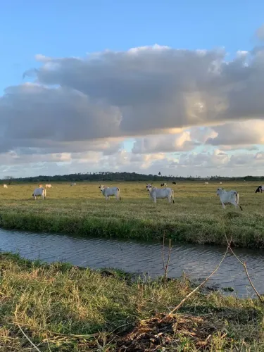 fazenda com 30 hectares no vale de Ceará Mirim um luxo de propriedade