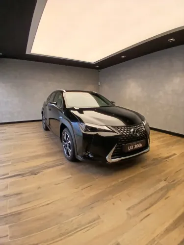 Lexus UX-300h 2.0 16V Aut. (híbrido) 2026