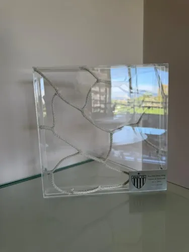 Quadro Decorativo Exclusivo do Avai- Rede Original do Acesso (2018)