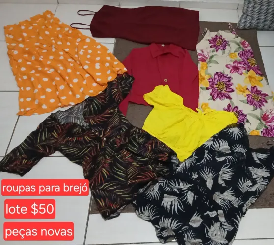 Lote de roupa para brejó $50