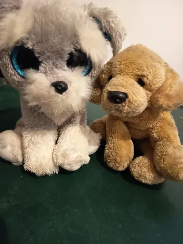 Cachorros de pelúcias