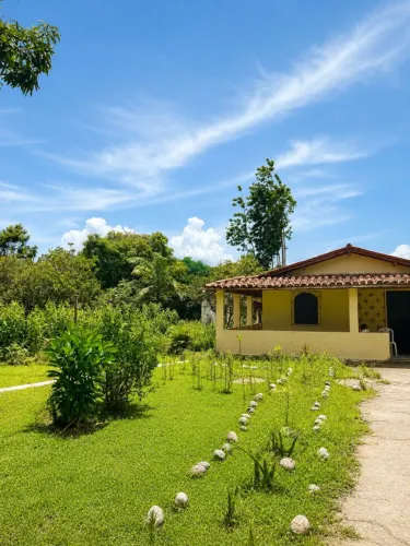 Belo Sítio de 2 tarefas - Região de Cachoeira/Santo Amaro- BA