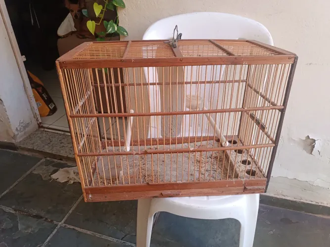 Gaiola de passarinho