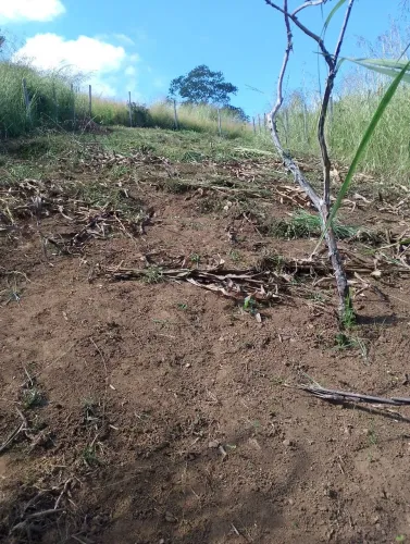 Vende-se um terreno klm 2,em pinheiral.