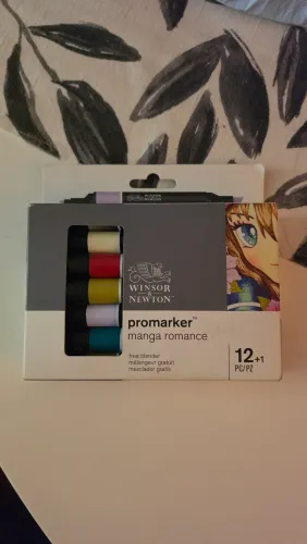 winston & newton promarker manga romance