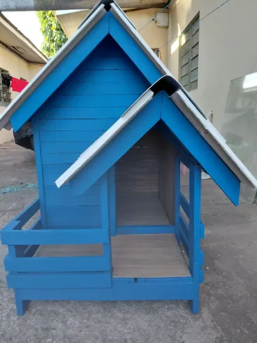 Casinha de cachorro 