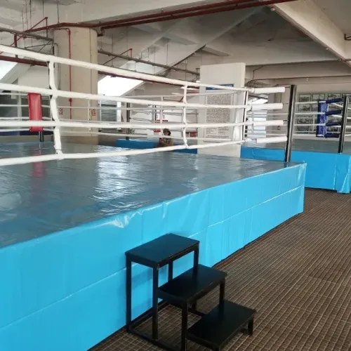Ringue Profissional Acolchoado Para Artes Marciais