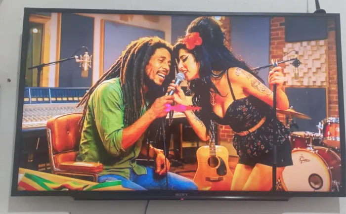 Vendo TV SONY BRAVIA 48 - SEMINOVA