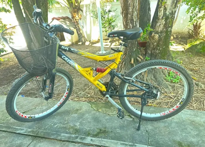 Bicicleta Caloi Amortecedor Duplo e com Cesto