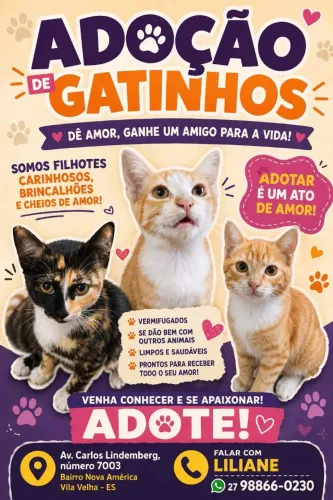 Doação de gatos