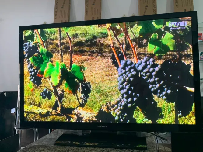 TV Samsung 43 polegadas