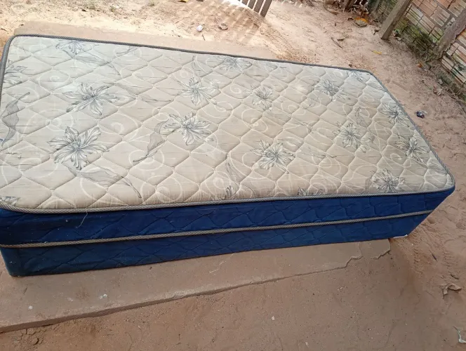 Cama