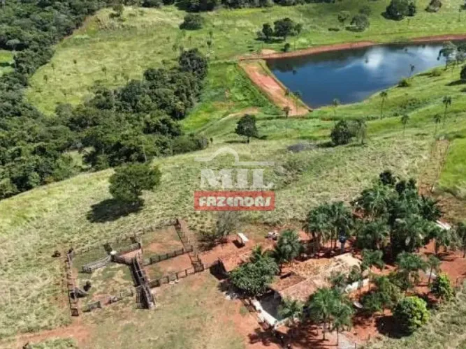 Fazenda 60 Alqueires (290,4 Hectares) Goias velho - GO