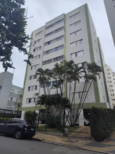 apartamento - Cambuí - Campinas