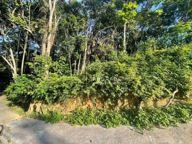 Terreno à venda, 656 m² por R$ 380.000,00 - Granja Viana II - Cotia/SP