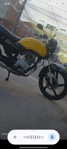 Top a motinha renavam
