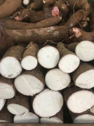 Mandioquinha 