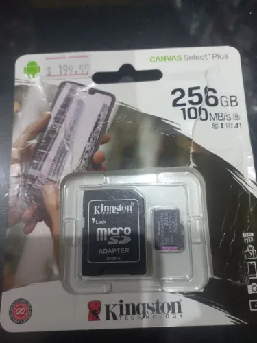 Cartão SD 256 GB