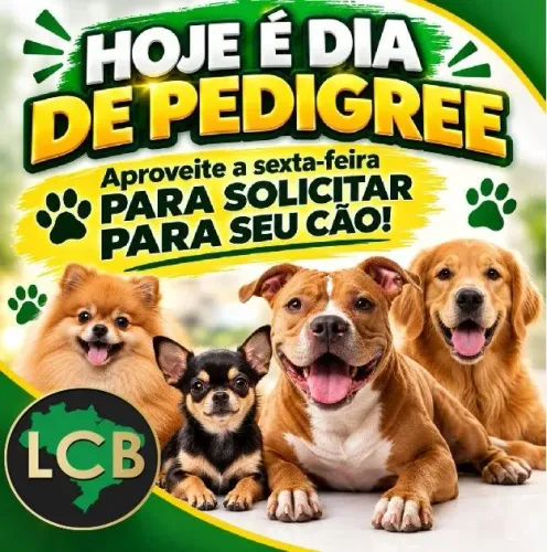 Solicite o pedigree do seu cão de Raça