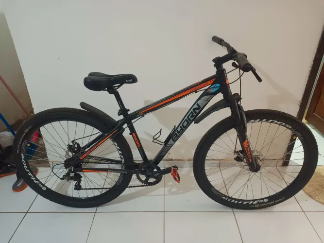 Bicicleta Byorn 29