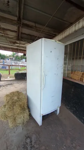 Freezer vertical gelopar
