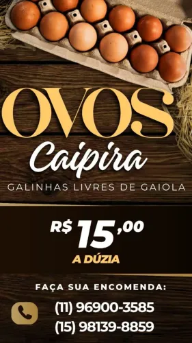 Vende-se Ovos Caipira 