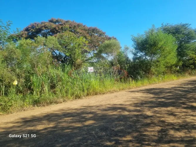 Sítio à venda em Gleba Ribeirão Sarandi, Maringá-PR