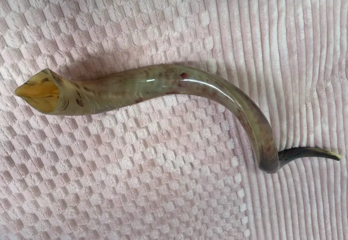 SHOFAR DE ANTÍLOPE