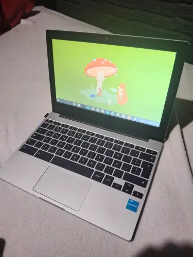 ChromeBook Samsung