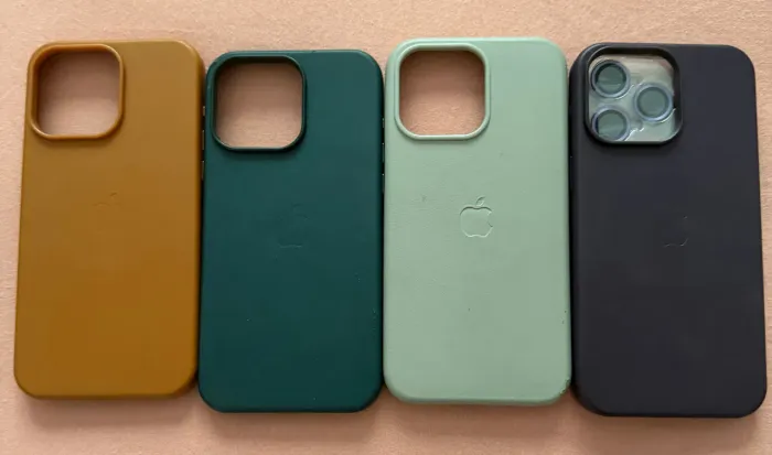 Case