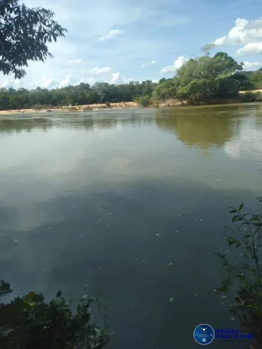 Fazenda à venda no Paranã/TO 740 Alqueires | Cerrado Grosso