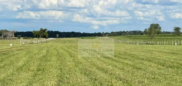Fazenda com 8 dormitórios à venda, m² por R$ 20.000.000,00 - Zona Rural - Alcinópolis/MS