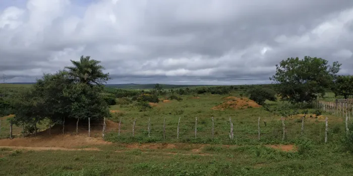 FAZENDA A VENDA REGIÃO DO MORRO DO CHAPÉU