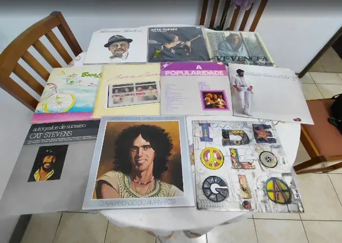 Discos de Vinil LPs Rock MPB Jazz Coleção