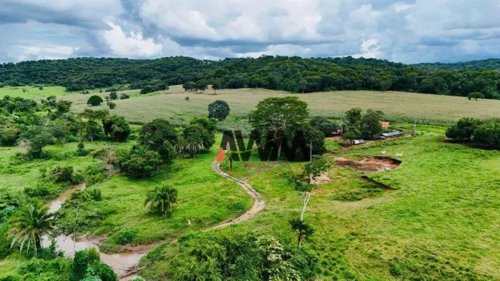 Fazenda à venda, 968000 m² por R$ 7.000.000,00 - Zona Rural - Pontalina/GO