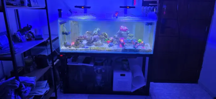 Luminária aqua knight v3 60