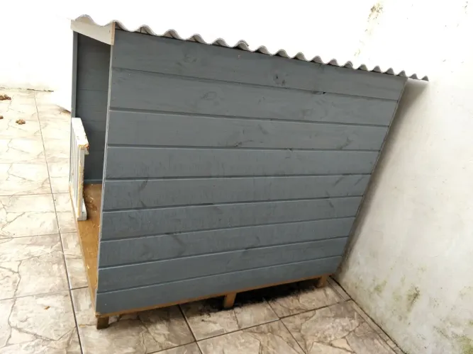 Casinha Pet