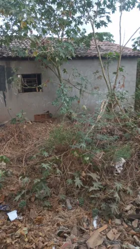 Terreno no alto são José Soledade pb