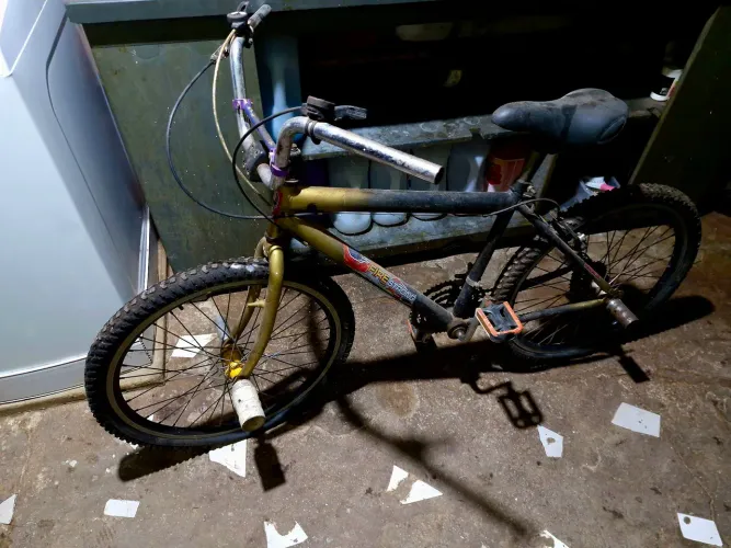Bicicleta