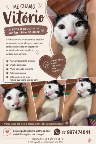 ADOÇÃO RESPONSÁVEL 