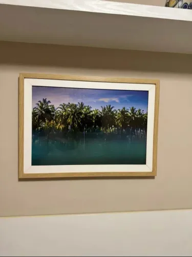 Quadro mentwaii