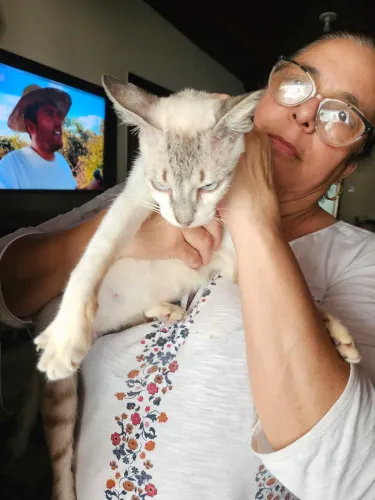Doase uma gatinha carinhosa 