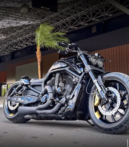 Harley - Davidson