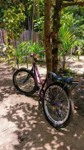 Bike aro24